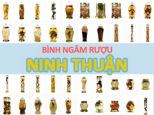 Nơi bán bình ngâm rượu sỉ & lẻ uy tín ở Ninh Thuận