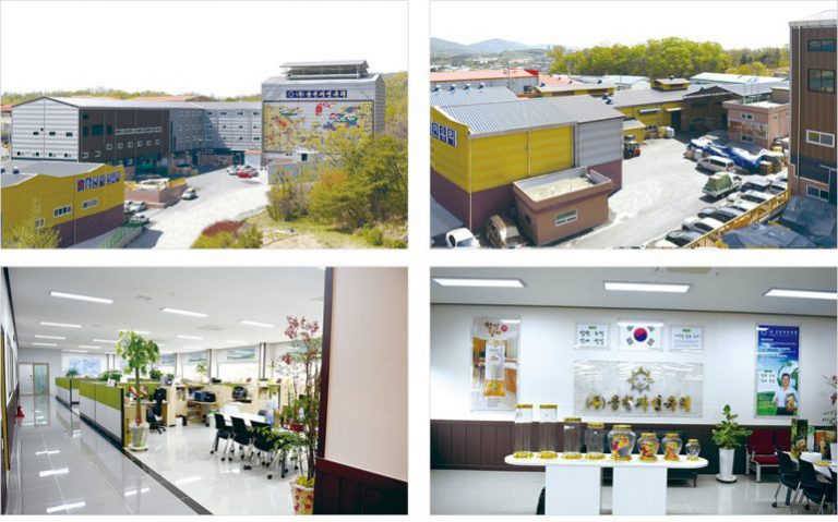 Tìm nhà phân phối bình ngâm rượu Hàn Quốc uy tín